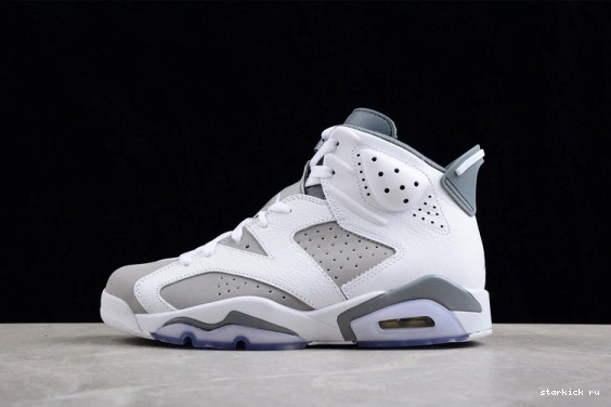CT8529-100 Grey Cool CT8529-100 Jordan Retro 6 0309